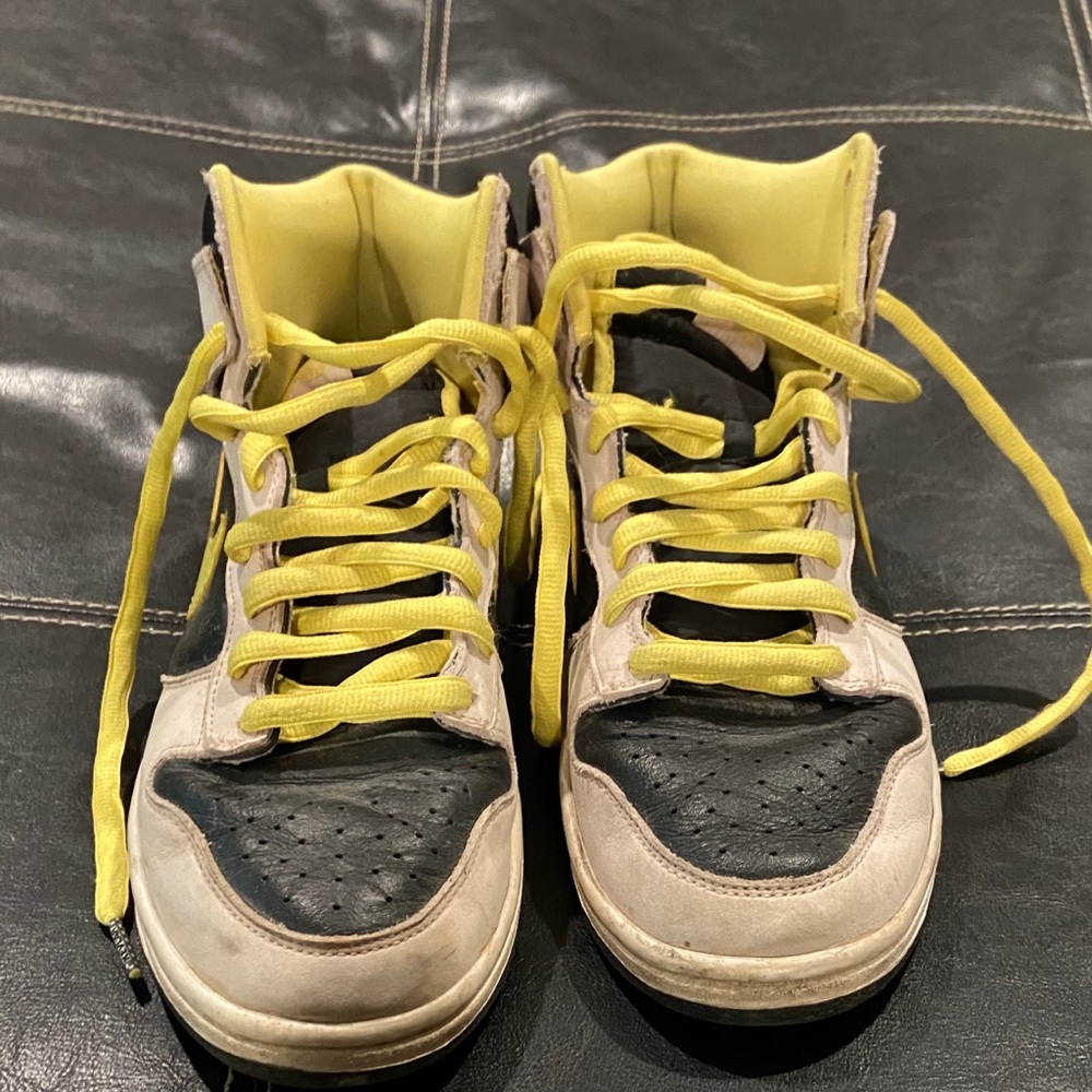 Nike Hi SB Dunk